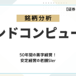 【企業分析】ランドコンピュータ(3924)ってどんな会社?50年以上黒字経営を続ける安定性とDX時代の成長性に迫る!